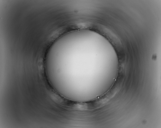 X0000102830317200808181330