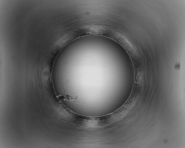 X0000102830318200808181330