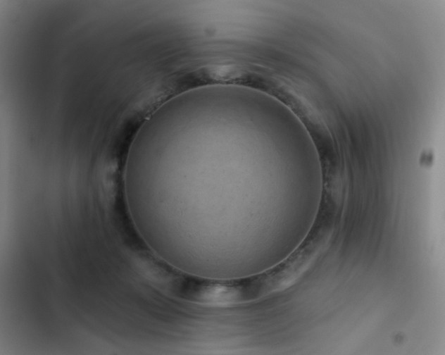 X0000102830319200808181330