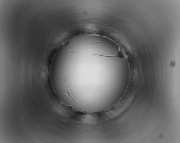 X0000102830320200808181330