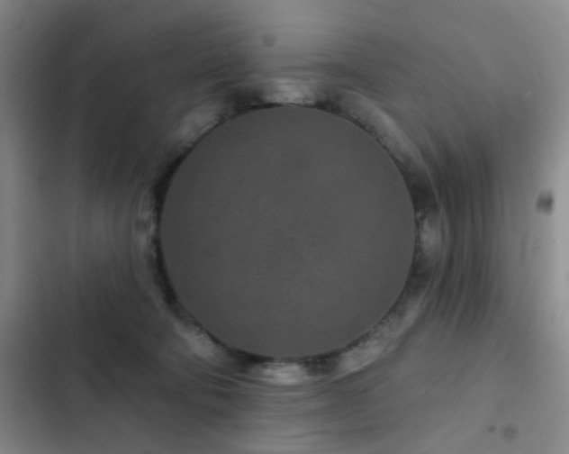 X0000102830322200808181330