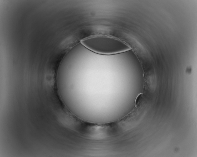 X0000102830323200808181330