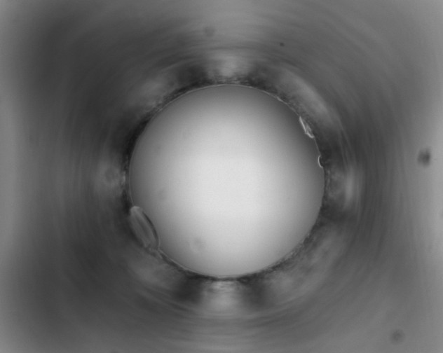 X0000102830324200808181330