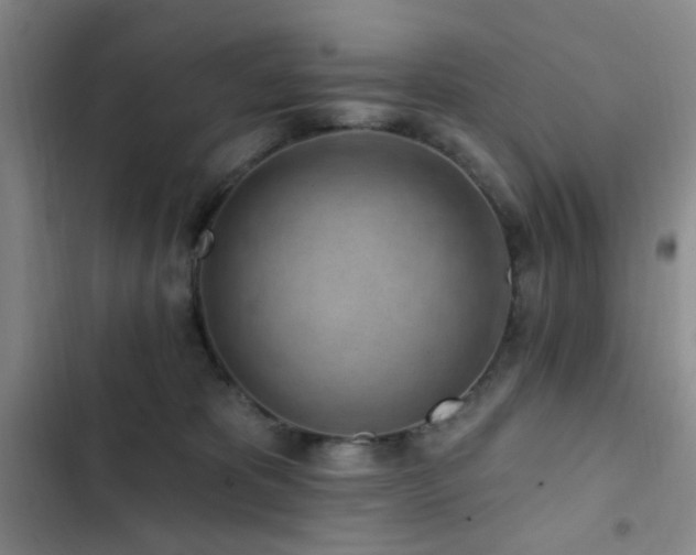 X0000102830325200808181330