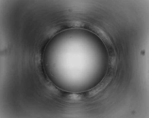 X0000102830326200808181330