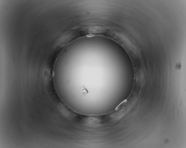 X0000102830327200808181330