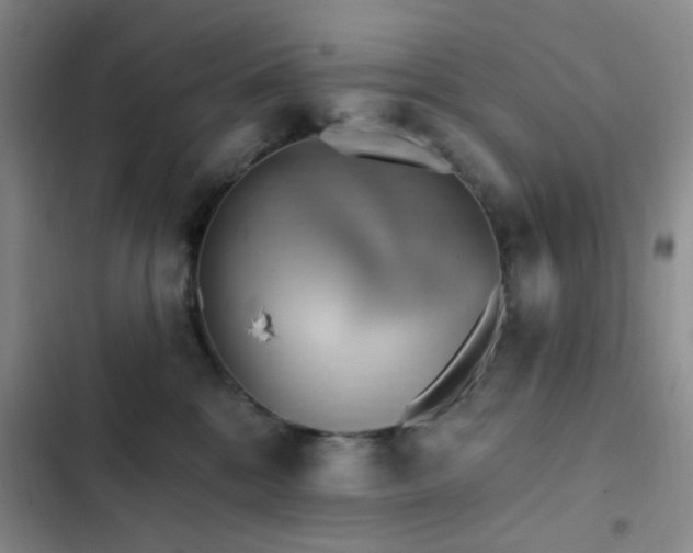 X0000102830328200808181330