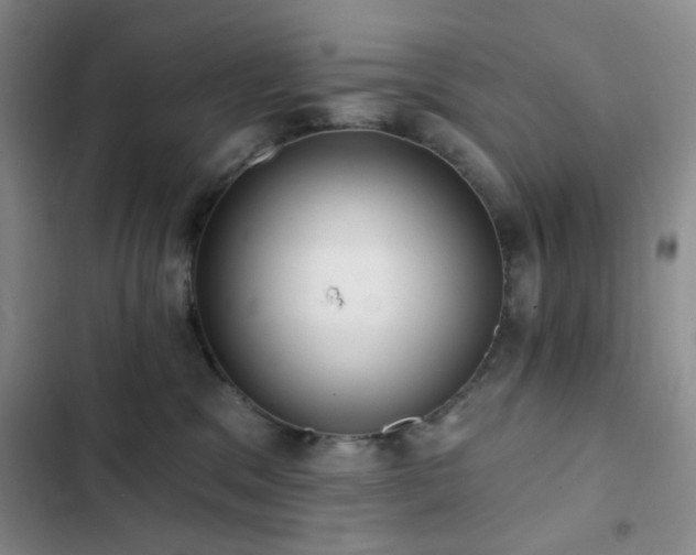 X0000102830329200808181330