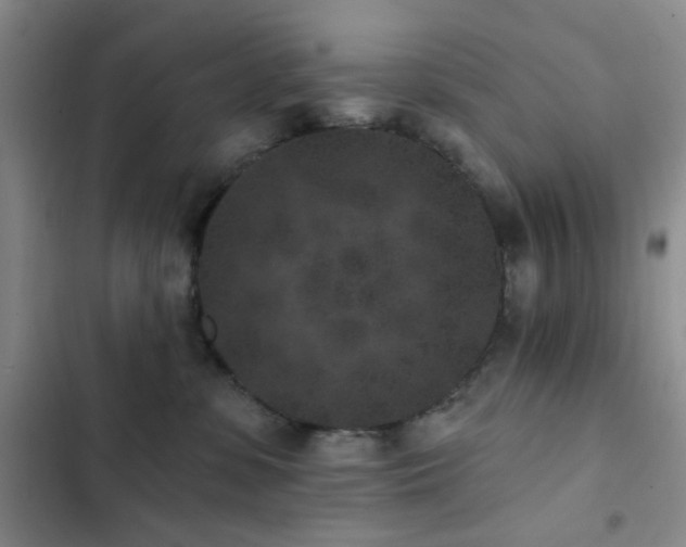 X0000102830331200808181330