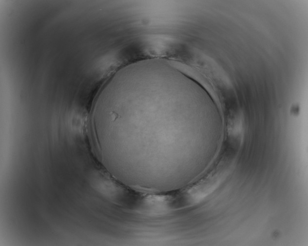 X0000102830332200808181330