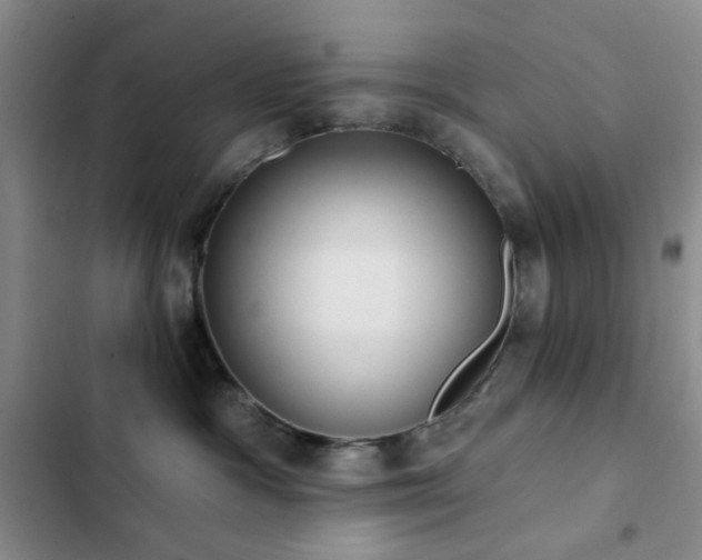 X0000102830333200808181330