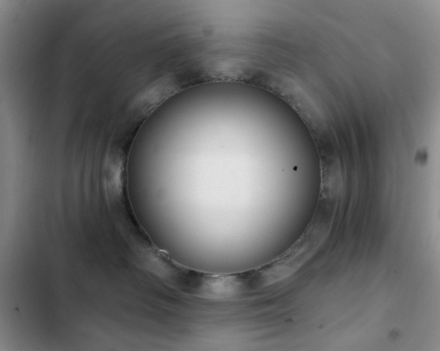 X0000102830334200808181330