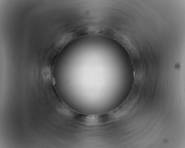 X0000102830335200808181330