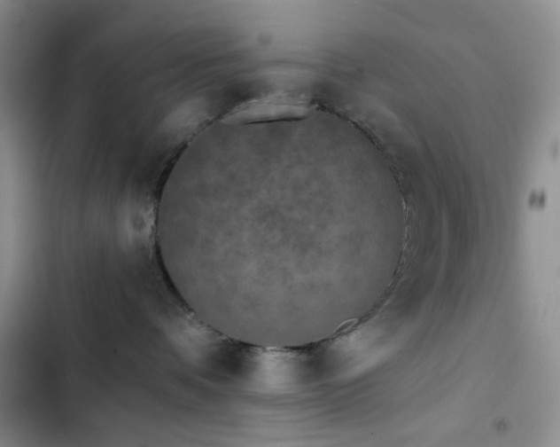 X0000102830336200808181330