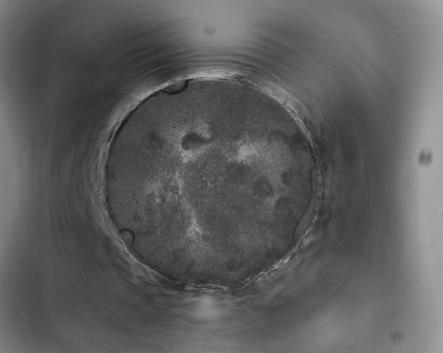 X0000102830337200808181329