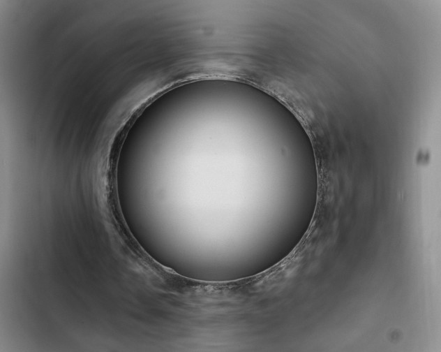 X0000102830338200808181329