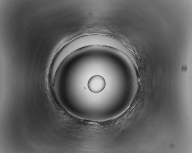 X0000102830340200808181329