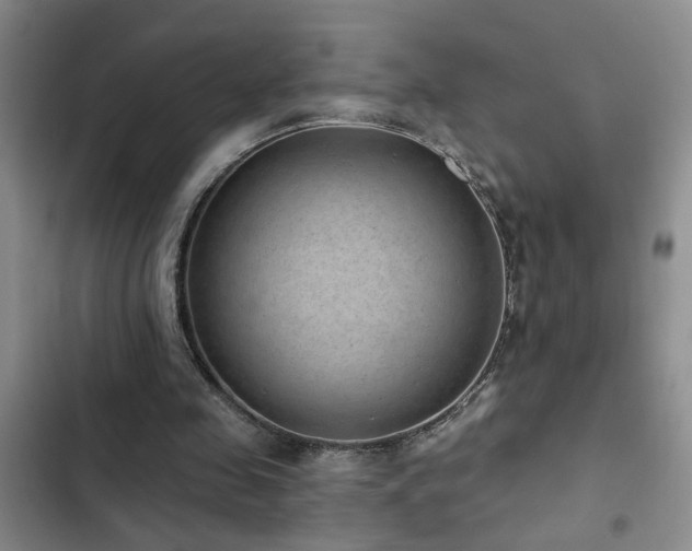 X0000102830341200808181329