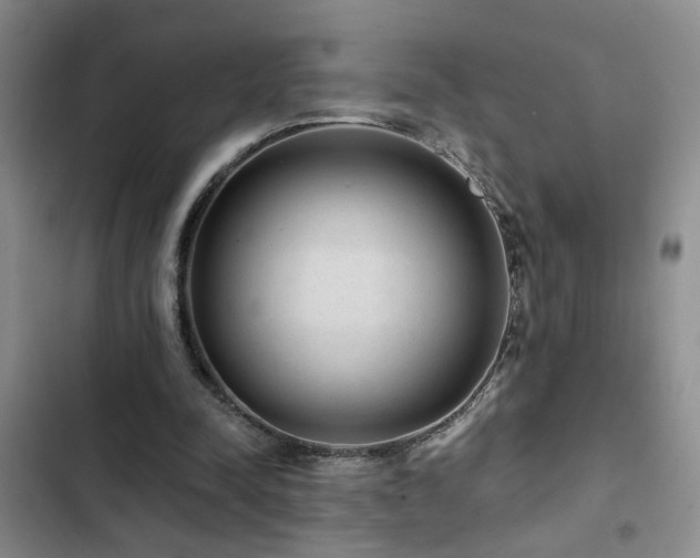 X0000102830342200808181329