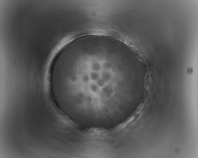 X0000102830343200808181329