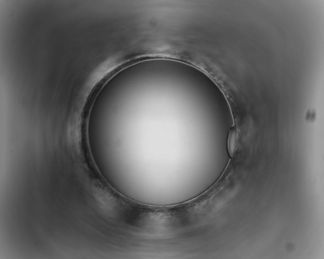 X0000102830344200808181329