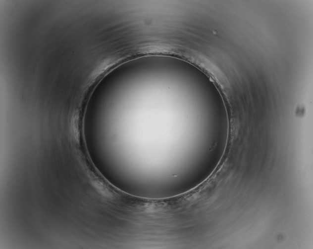 X0000102830345200808181329