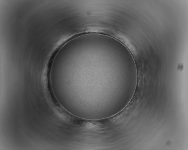 X0000102830346200808181329