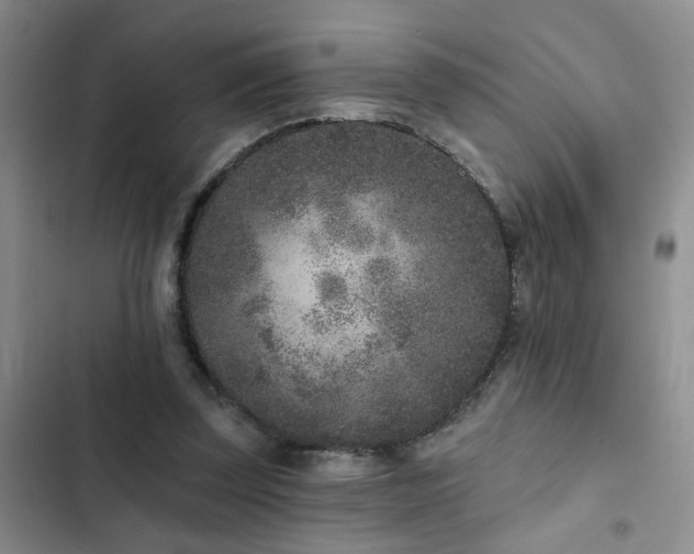 X0000102830347200808181329