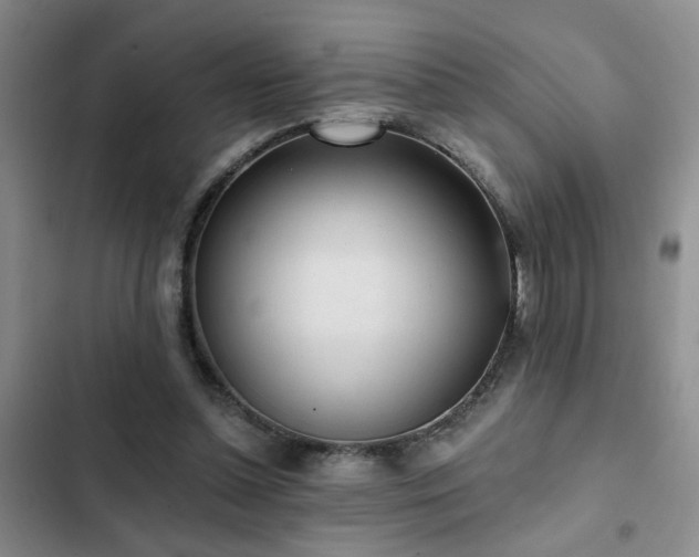 X0000102830348200808181329