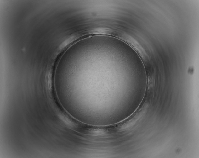 X0000102830349200808181329