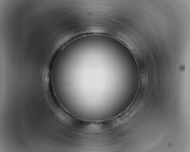 X0000102830350200808181329