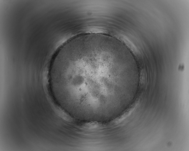 X0000102830351200808181329