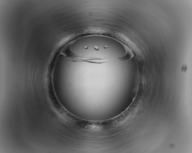 X0000102830352200808181329