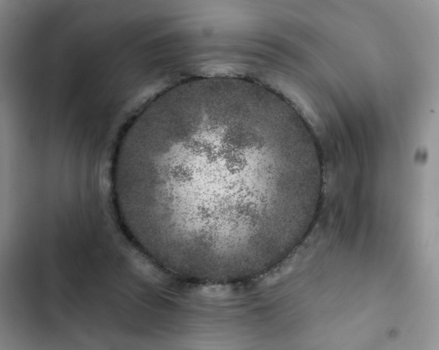 X0000102830353200808181329