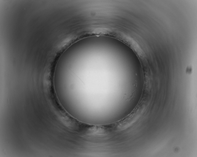 X0000102830354200808181329