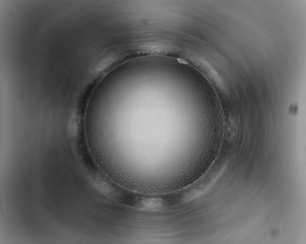 X0000102830355200808181329