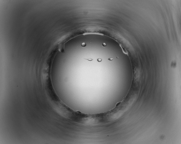 X0000102830356200808181329