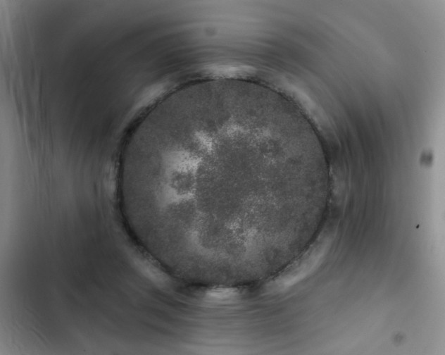 X0000102830357200808181329