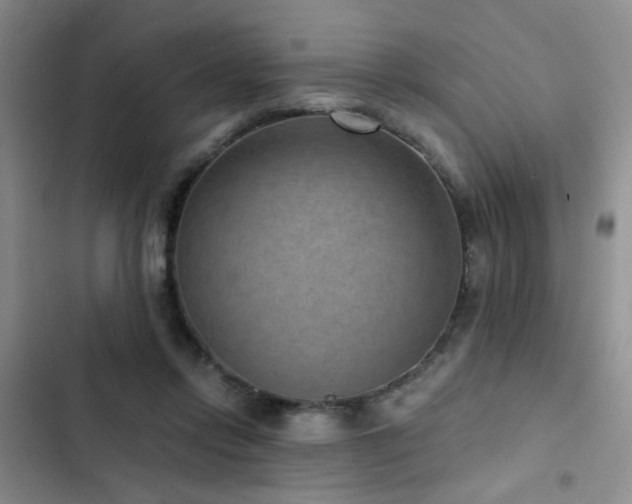 X0000102830358200808181329