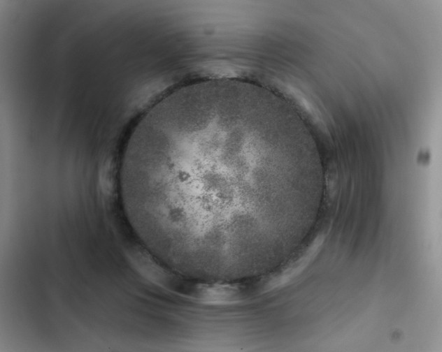 X0000102830359200808181329