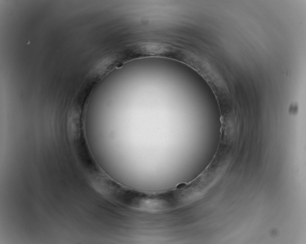 X0000102830360200808181329