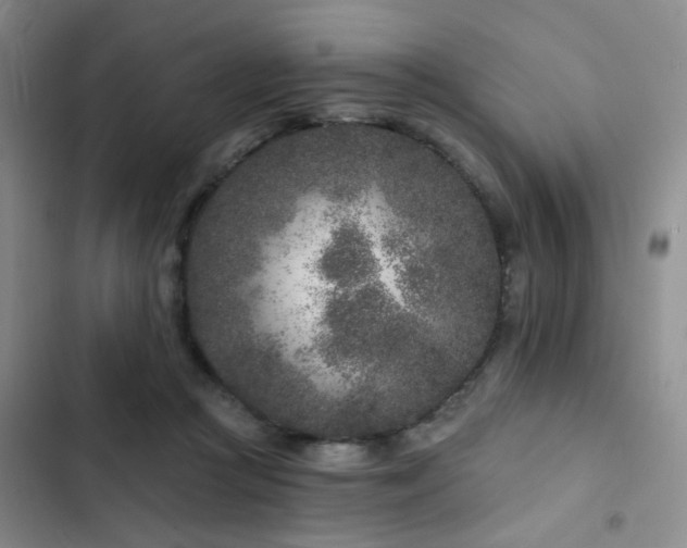 X0000102830361200808181329