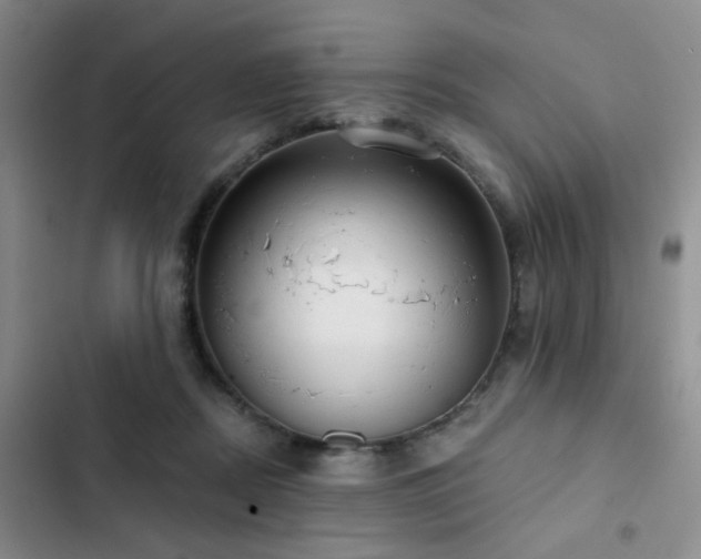 X0000102830362200808181329