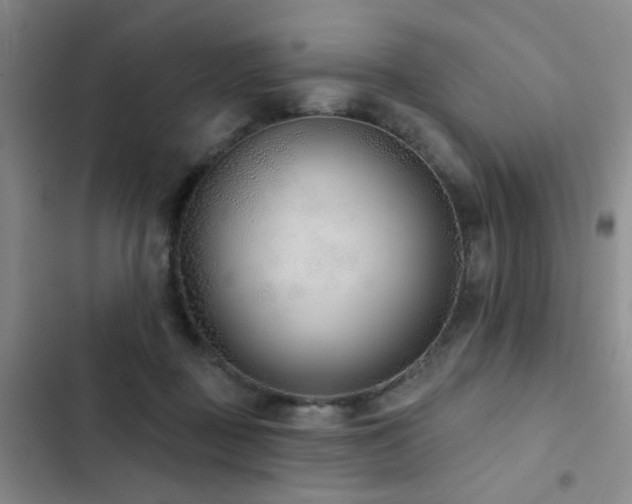 X0000102830363200808181330