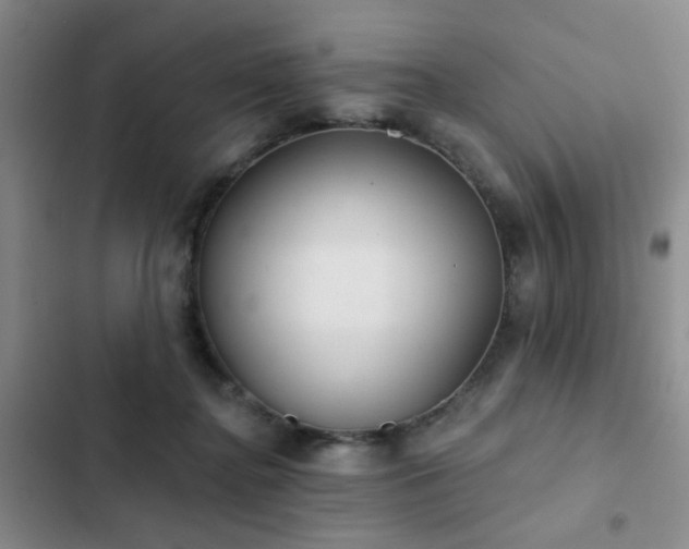 X0000102830364200808181330