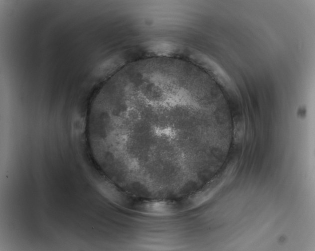 X0000102830365200808181330