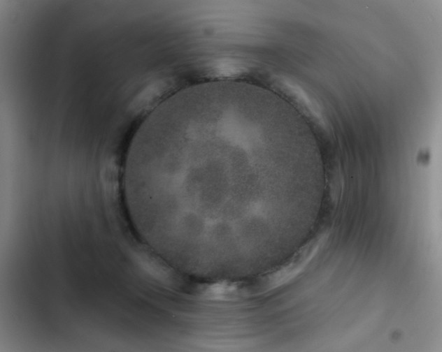 X0000102830366200808181330