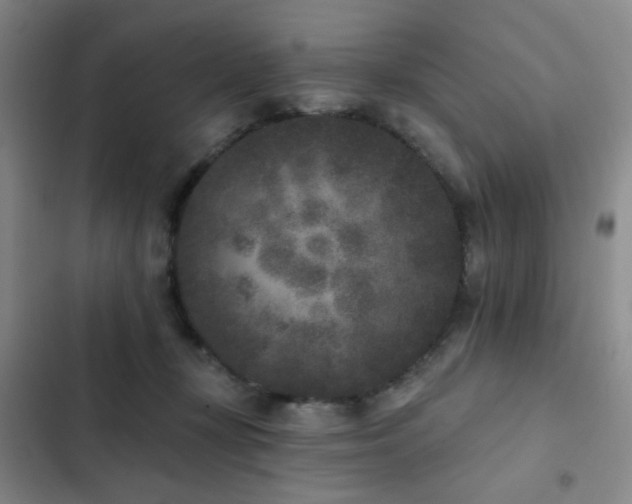 X0000102830367200808181330