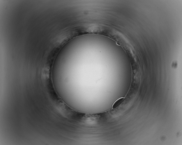 X0000102830368200808181330