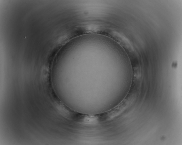 X0000102830369200808181330